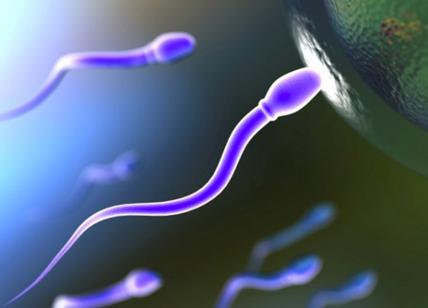 Fertilità maschile, attenzione a slip stretti e fumo