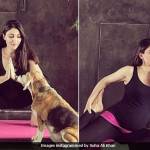 Yoga, Giornata Internazionale FOTO: Attrice indiana lo fa col pancione5
