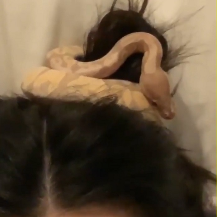 Kendall Jenner e il serpente usato come elastico per i capelli