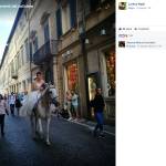 Pesaro, sposa arriva in sella al cavallo bianco FOTO Marito colto di sorpresa 2