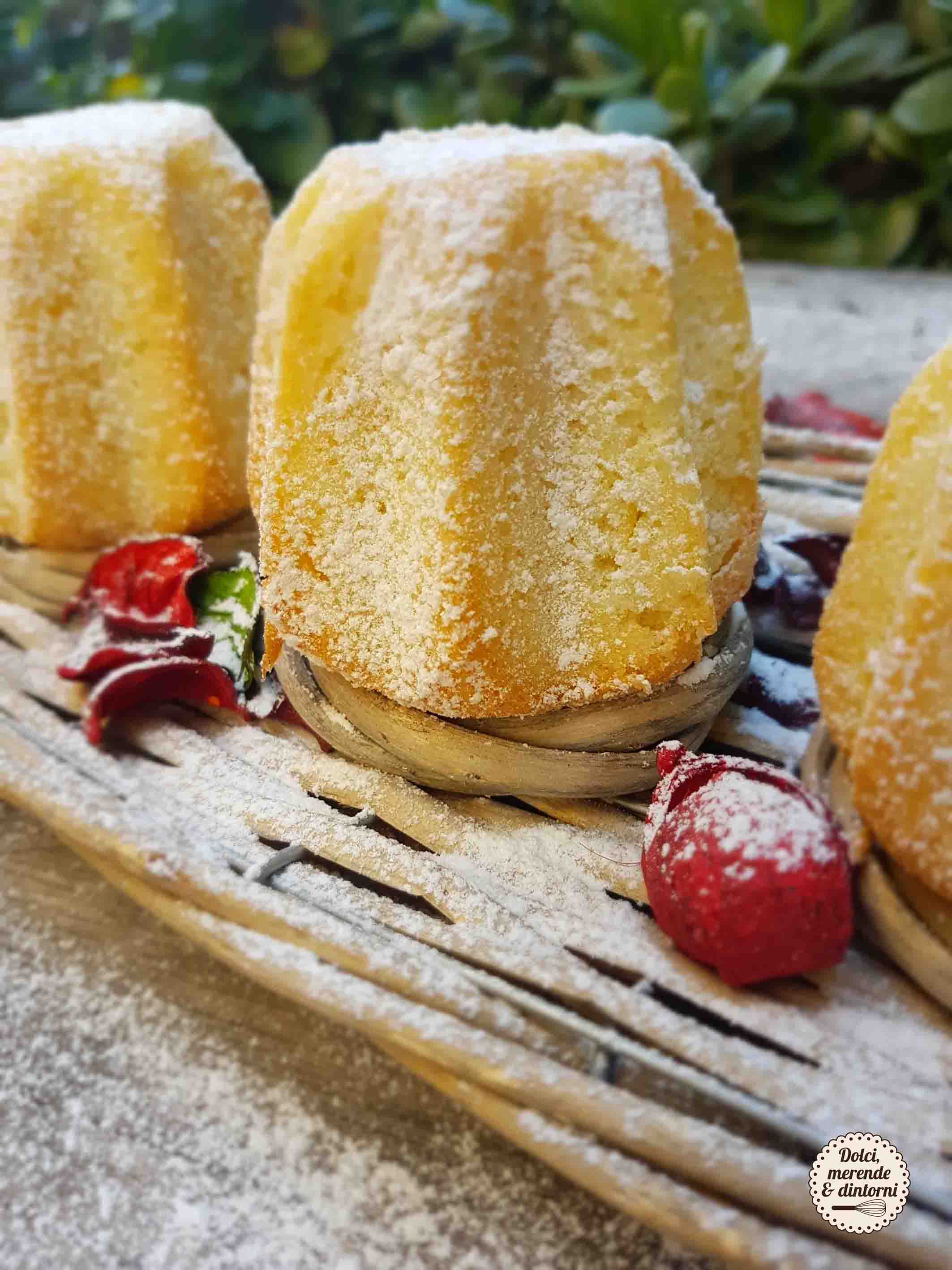 Contest: Muffins Pandorini (di Antonella Audino)