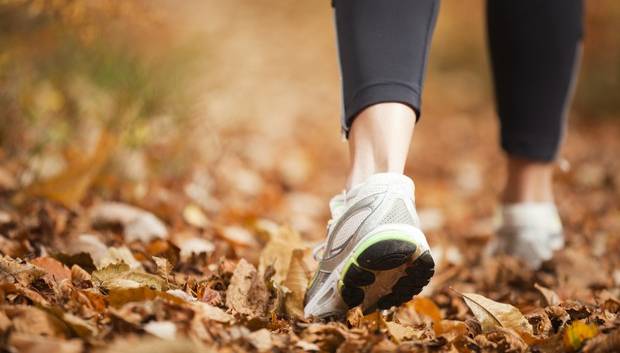 Camminare 20 minuti al giorno riduce il rischio di disparità cardiaca