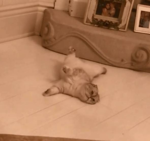 Selena Gomez e Taylor Swift: la prova che sono ancora amiche