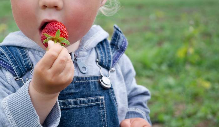 Allergie alimentari e bimbi, attenzione a queste 5 fake news che circolano sul web