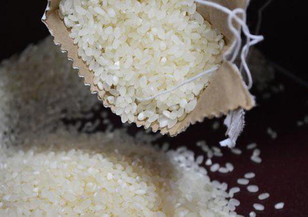 Dieta del riso: come perdere qualche chilo in pochi giorni