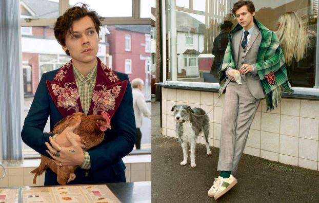 Harry Styles posa con una gallina per la campagna Gucci