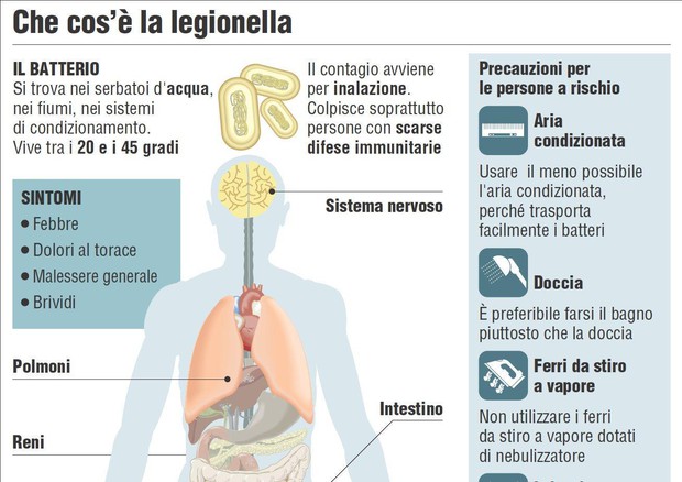 Cos'è la legionellosi: cause e rimedi dell'infezione portata dall'acqua