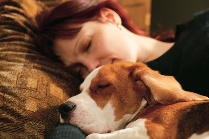 Sonno tranquillo: donne preferiscono cani al partner