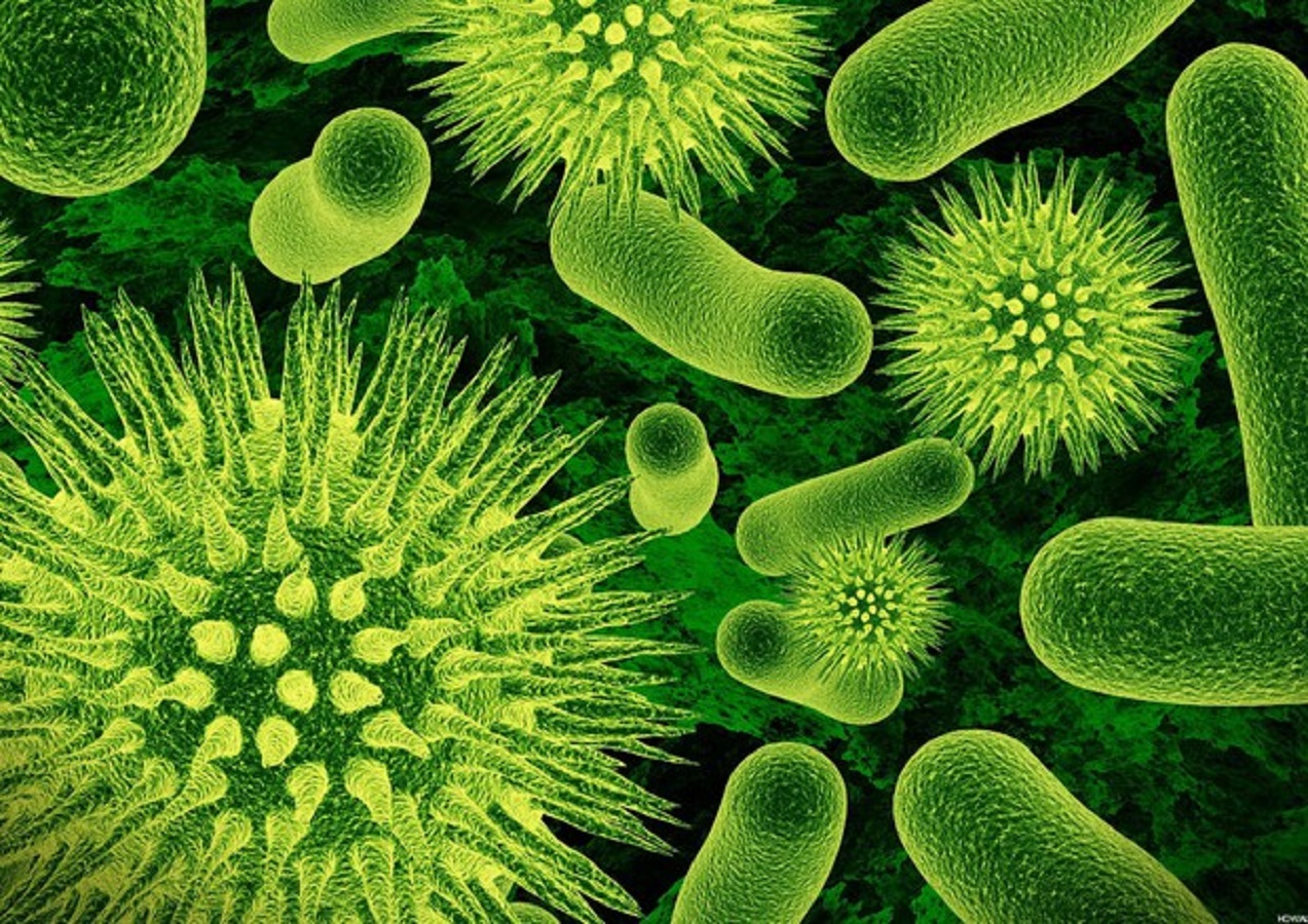 batteri-guanti-cucina-sporchi