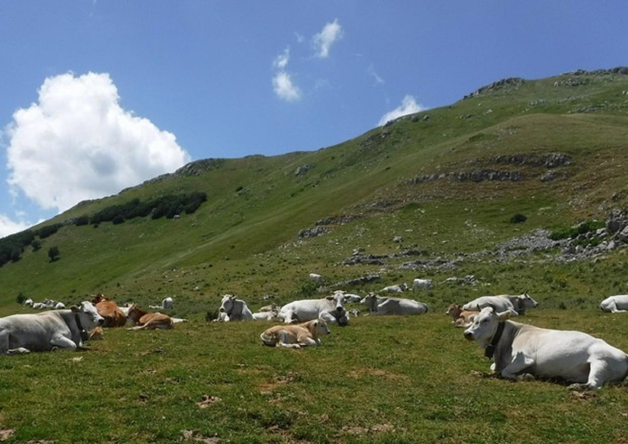 stress-rimedi-naturali