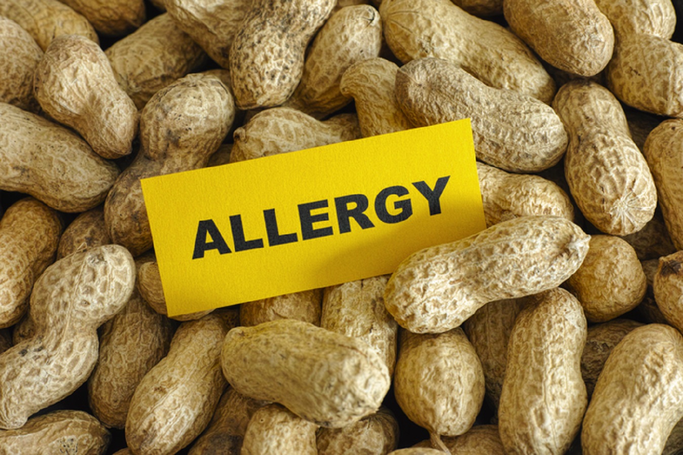 Allergie alimentari: possibile cura naturale con i batteri dell'intestino