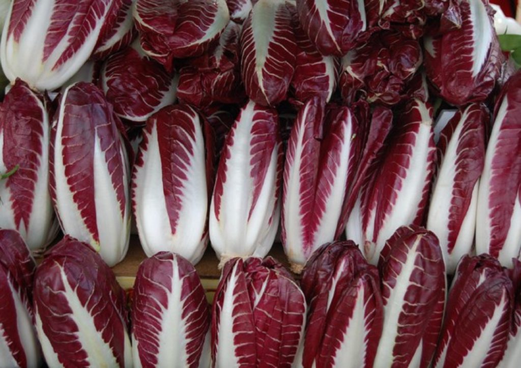 Radicchio benefici calorie vitamine proteine perché mangiarlo