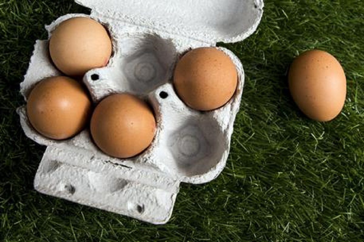 il colesterolo nelle uova non danneggia il cuore