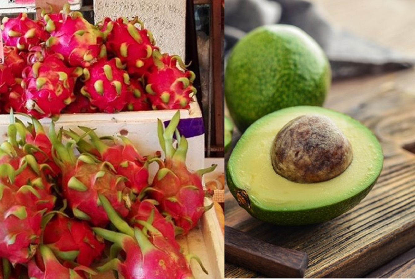 Il dragon fruit è il nuovo avocado: tutte le proprietà del frutto