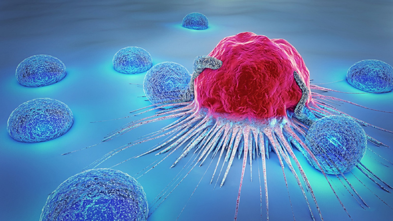 Tumori, come le cellule cancerose mettono le difese immunitarie ko
