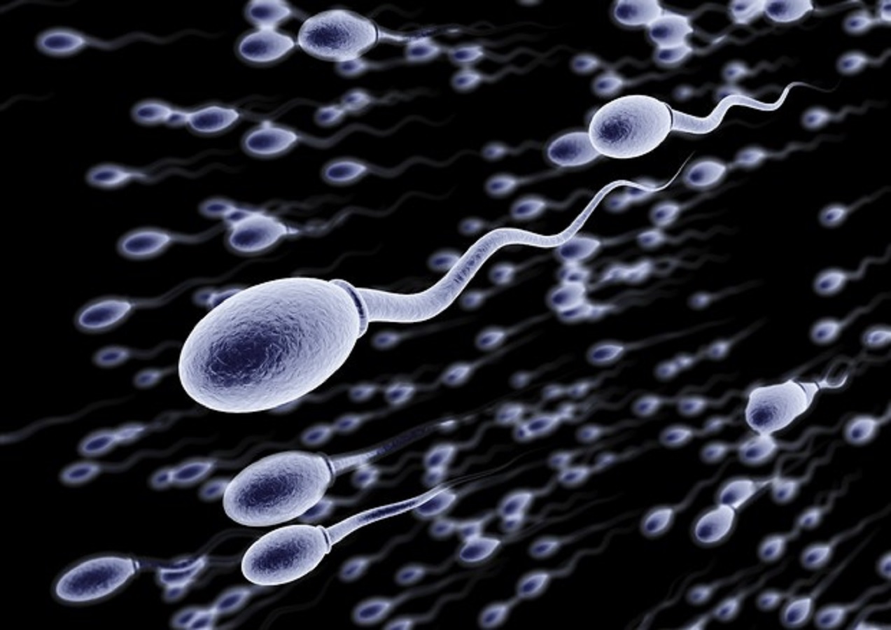 Sperma indesiderato: donna può eliminarlo se non compatibile geneticamente