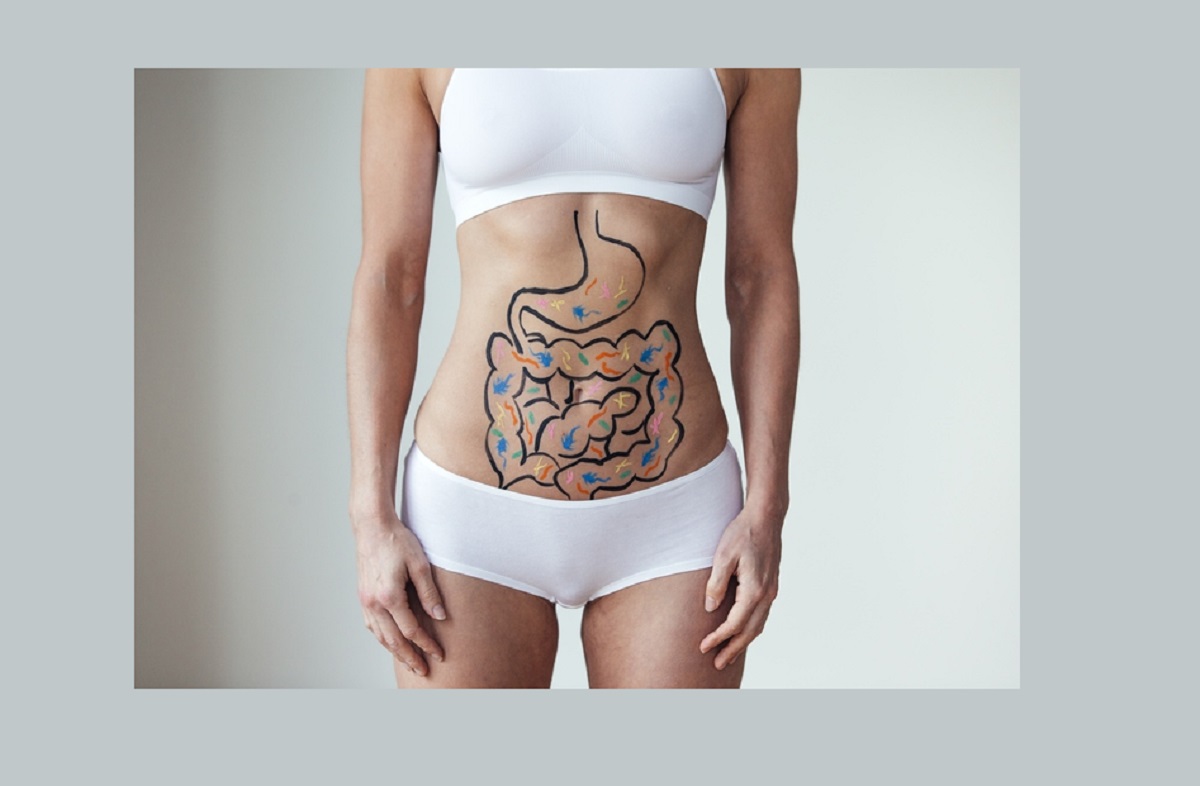 intestino e probiotici