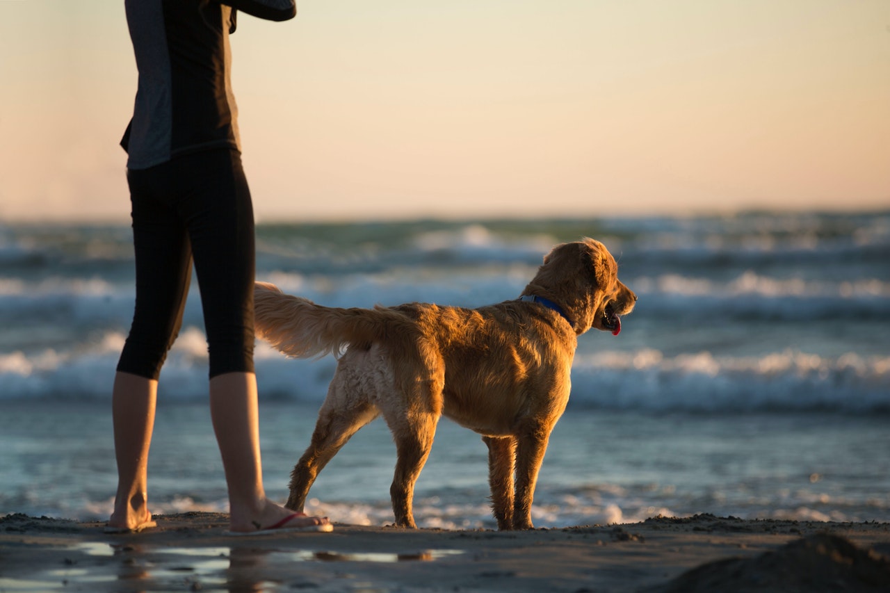 ragazza al mare con il cane