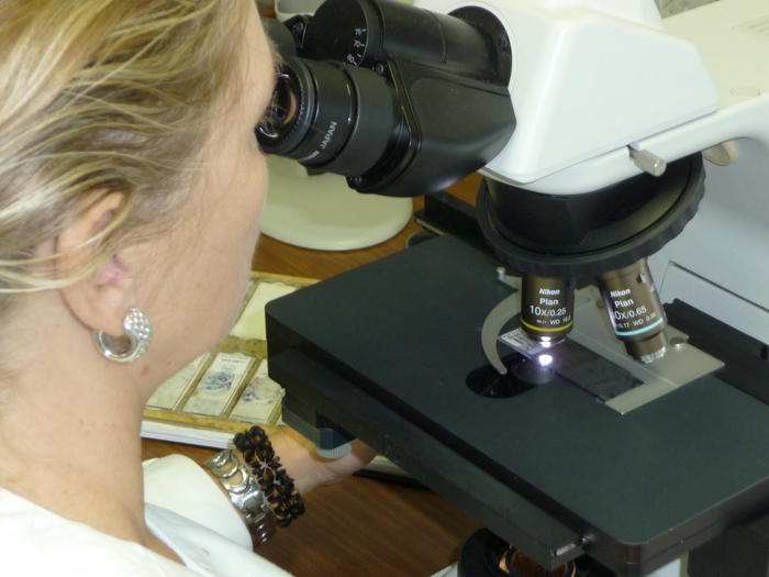 una ricercatrice analizza al microscopio