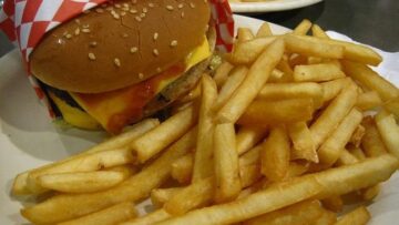Il cibo spazzatura spinge il cervello a desiderare altro junk food