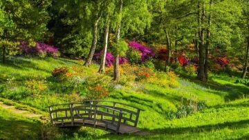 Parchi e spazi verdi sono un toccasana per la salute