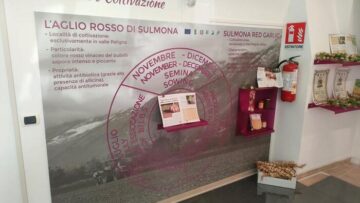 A Sulmona un museo per celebrare l'aglio rosso