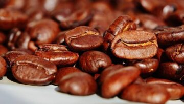 Il consumo di caffè è associato alla longevità: lo studio