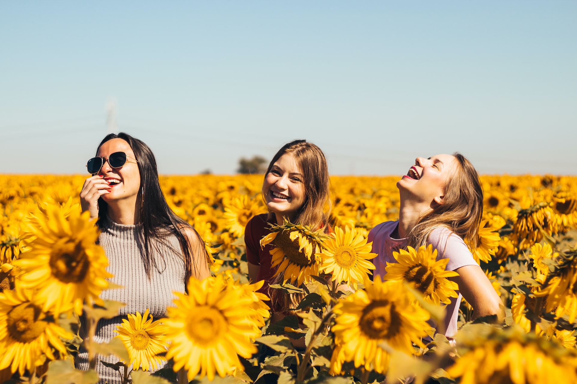 ragazze felici in un campo di girasoli