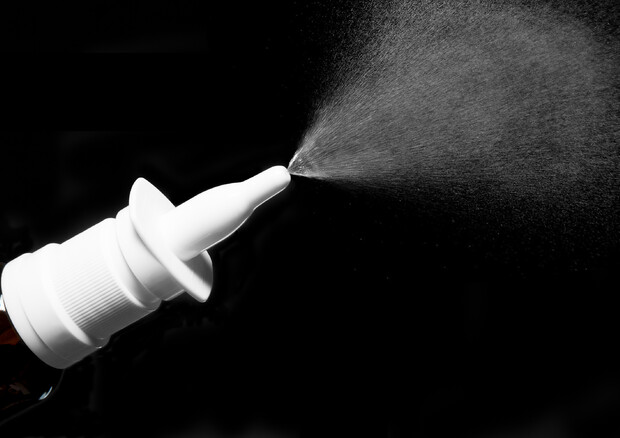 Trauma cranico: uno spray nasale potrebbe ridurne i danni