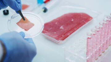 carne coltivata in laboratorio