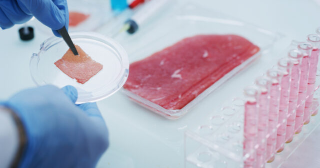 carne coltivata in laboratorio