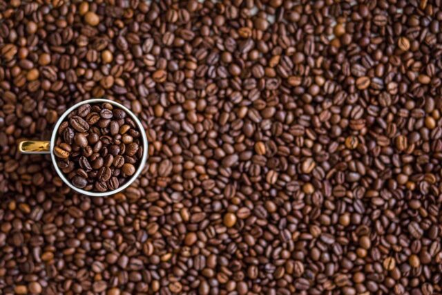 Senza agricoltura rigenerativa, il futuro del caffè è incerto