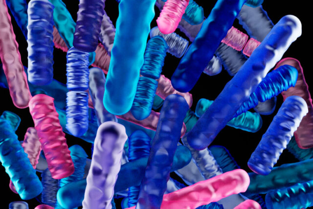 I batteri del microbiota intestinale possibile arma contro i tumori