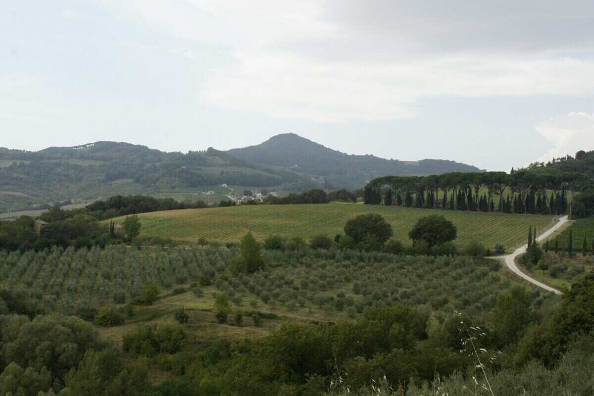 colline della Toscana