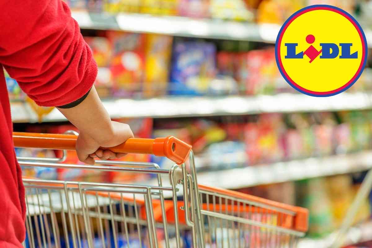 Altro che alta moda, da Lidl giacche eco-chic a prezzi folli