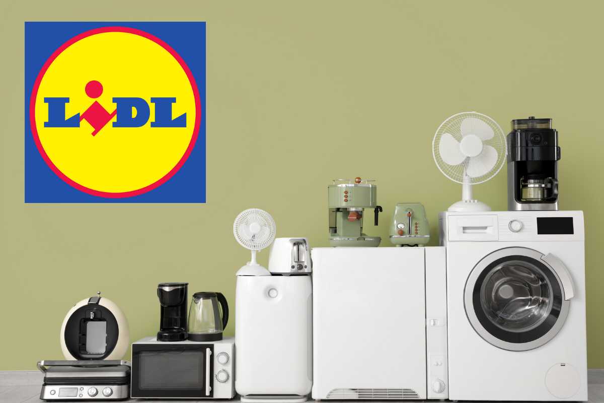 offerta elettrodomestico lidl