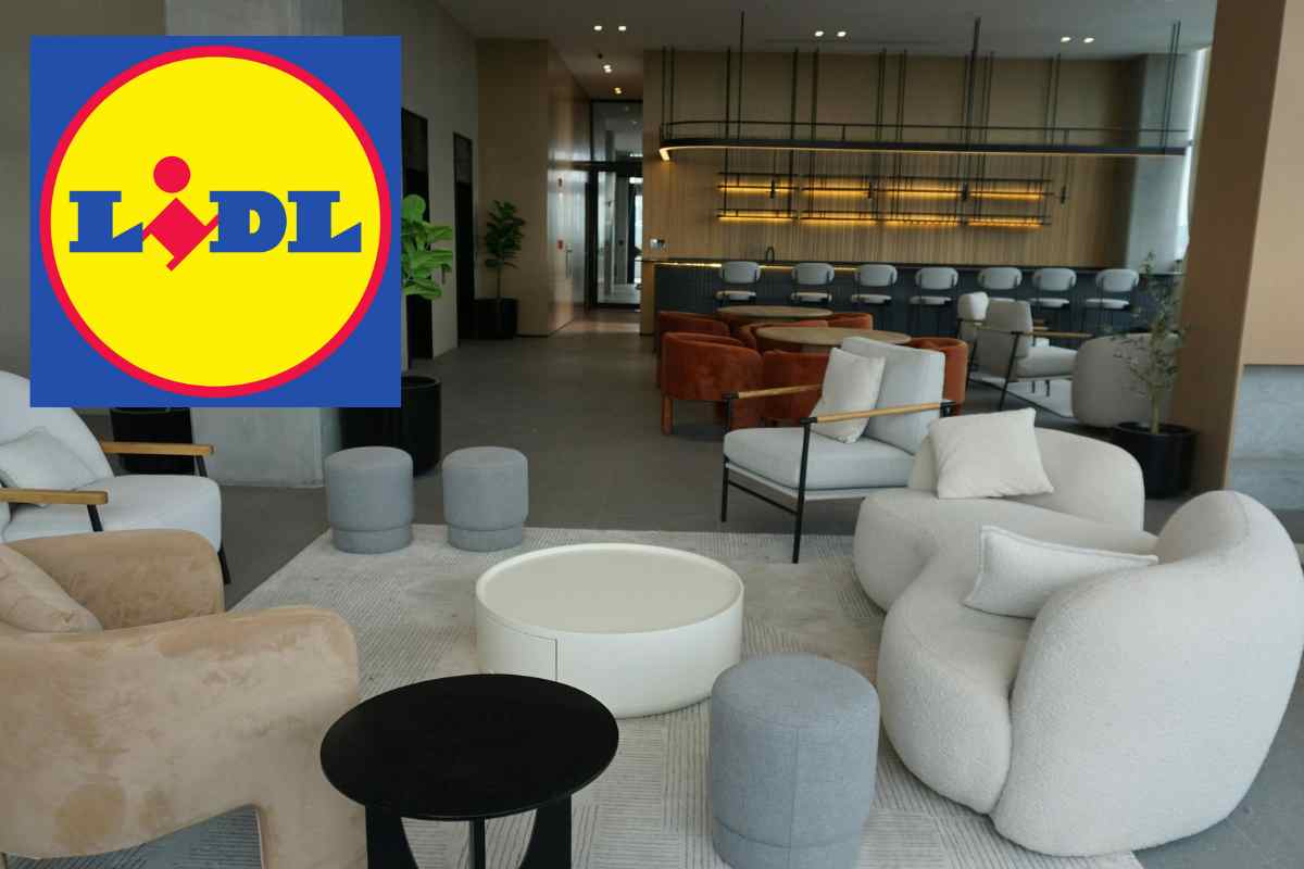 Arredo di lusso, altro che cifroni: da Lidl bastano 13 euro